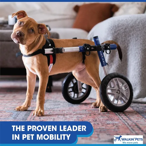 Miniatura 6 de Walkin' Wheels Silla de ruedas para perros pequeños, silla de ruedas ligera para patas traseras, 15-25 libras, para altura de pierna de 9-11 Azul