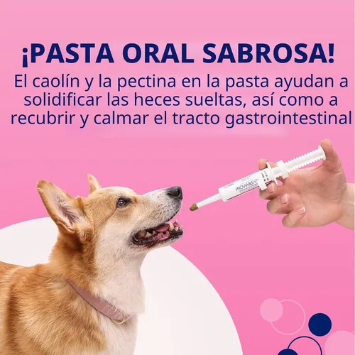 Miniatura 7 de Nutramax Probióticos proviables para perros y gatos pequeños, kit de apoyo para la diarrea, suplemento de salud digestiva con múltiples cepas