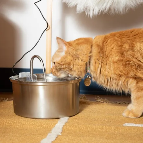Miniatura 4 de KittySpout Fuente de Agua para Gatos de Acero Inoxidable Fuente de Beber Automática, Cuenco de Agua Circulante Silencioso, Apto para Lavavajillas