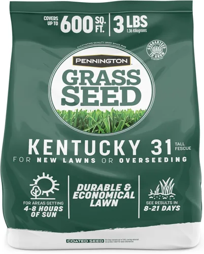 Miniatura 12 de Pennington Kentucky 31 Semilla de Césped Festuca Alta Penkoted 7 lb