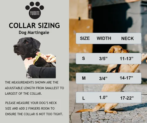 Miniatura 7 de Martingale - Collar para perro con cadena de acero y hebilla de liberación rápida, ajustable, floral, sin tirones, collares de entrenamiento Flamenco