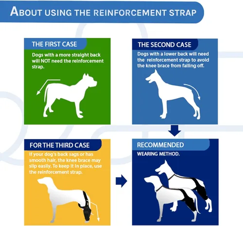 Miniatura 6 de Rodillera para perros – Soporte para patas traseras y patas traseras para perros con osteoartritis, lesiones del ligamento cruzado o recuperación