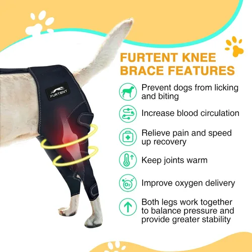 Miniatura 4 de Perro ACL Brace pata trasera – Mantiene las articulaciones calientes y estables, soporte ajustable mejorado para las piernas, arnés personalizado