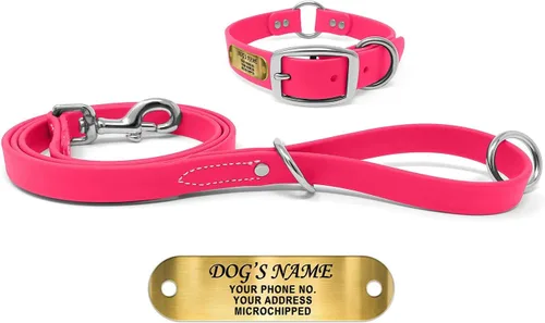 Miniatura 22 de Regal Dog Products Collar de Perro Naranja Mediano con Placa de Nombre Grabada Personalizada - Ajuste Personalizado, Resistente, Fácil de Limpiar