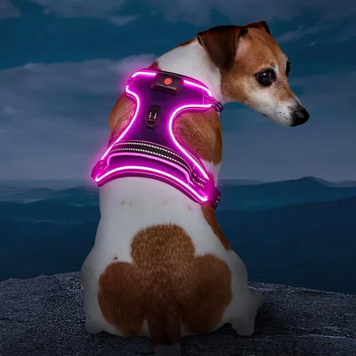 Miniatura 5 de Arnés para perro iluminado con batería pequeño