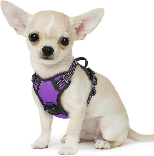 Miniatura 51 de Eagloo Arnés para perro pequeño, sin tirones, chaleco de servicio con tiras reflectantes y asa de control, ajustable y cómodo para caminar, arnés