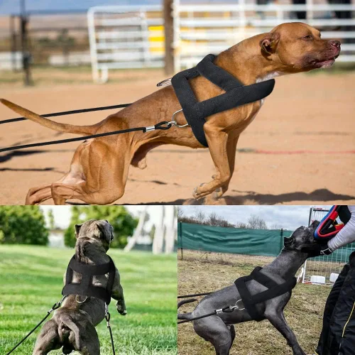 Miniatura 8 de Forestpaw Arnés de perro resistente sin tirones para entrenamiento, chaleco táctico con 3 anillos de metal, arnés acolchado suave para perros