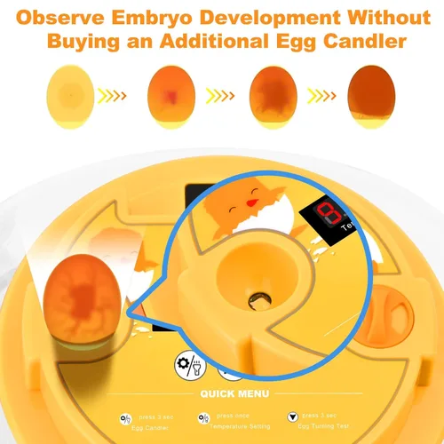 Miniatura 3 de Incubadora de huevos para incubar pollitos, volteador automático de huevos con capacidad para 12 huevos, incubadora inteligente con ventana