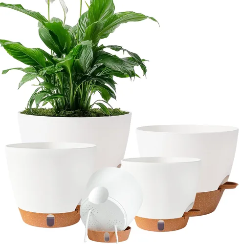 Miniatura 13 de Macetas de riego automático de 6 pulgadas para plantas de interior (paquete de 5) – Pequeñas macetas de plástico con ventana de nivel de agua