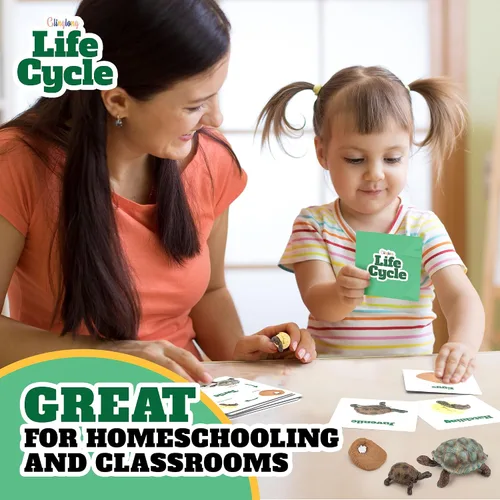 Miniatura 5 de Kit de animales de ciclo de vida, juguete de ciencia Montessori con juego de 24 piezas, mariposa, rana, pollo, abeja, mariquita y tortuga, regalo