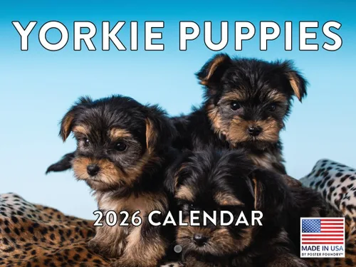 Miniatura 32 de Calendario de pared mensual 2025 Great Dane de 12 meses, fabricado en Estados Unidos