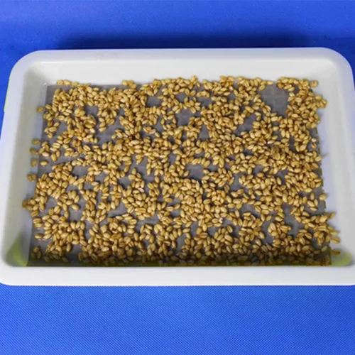 Miniatura 2 de 100 piezas de papel germinador de germinación de semillas para bandeja de germinación de plantas (sin bandeja)