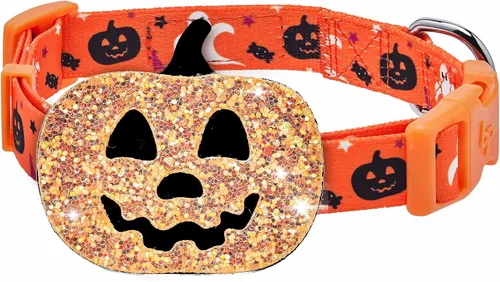 Miniatura 12 de Blueberry Pet-10 patrones de otoño, Halloween, Día de Acción de Gracias, collar de perro, etc., L, Pumpkin Calabaza