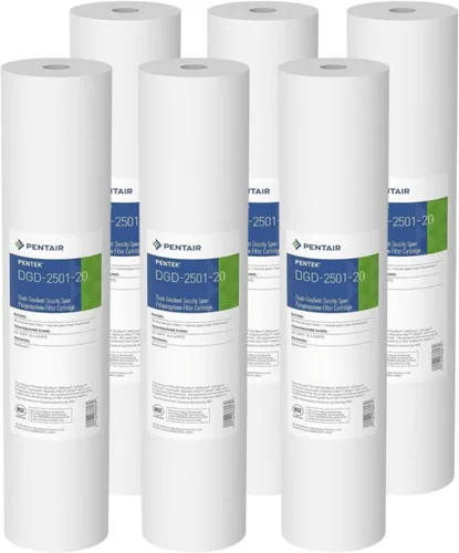 Pentair Pentek DGD-2501-20 Filtro de Agua Big Blue, Cartucho de Repuesto de Filtro de Sedimentos de 20 Pulgadas para Toda la Casa, Polipropileno