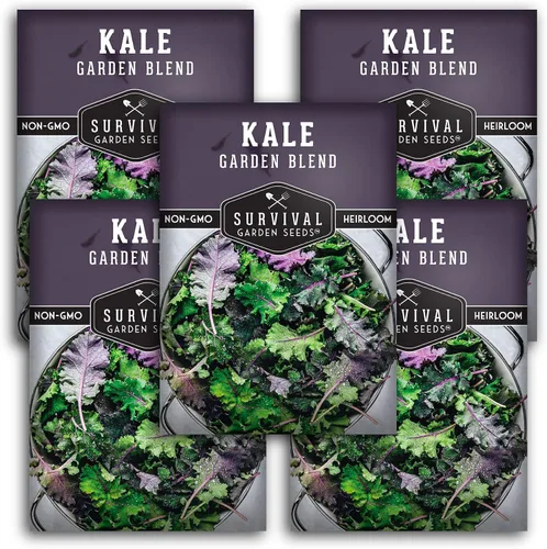 Baby Kale Seeds - Mezcla de mezcla de jardín de col rizada y plana de hoja rizada - Paquete variado de reliquia para verduras de corte y regreso -