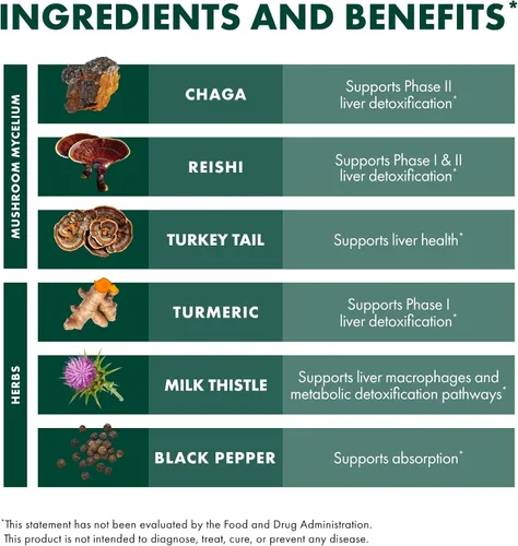 Miniatura 6 de Host Defense MycoBotanicals Hígado* Cápsulas – Suplemento de salud hepática con cardo mariano y raíz de cúrcuma – Suplemento de hongos con cola