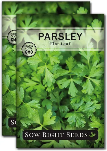 Miniatura 7 de Sow Right Seeds - Semilla de perejil de hoja plana para plantar - Paquete de reliquia sin OMG con instrucciones para plantar y cultivar un jardín