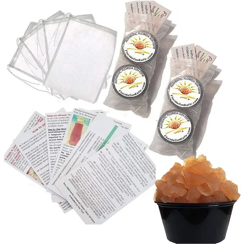 (4) porciones de granos de kéfir de agua Live Florida Sun Kefir Probióticos naturales (6) Seis bolsas de preparación incluidas