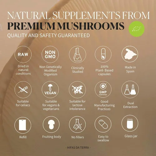 Miniatura 6 de Hifas Equilibrium - Complejo de hongos con melena de león orgánica, Cordyceps y Reishi - Suplemento de apoyo para el estrés y el estado de ánimo