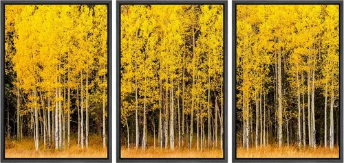 Miniatura 94 de wall26 Lienzo enmarcado para pared, juego de arte de noche estrellada sobre montañas, cielo nocturno tranquilo, naturaleza, desierto, fotografía