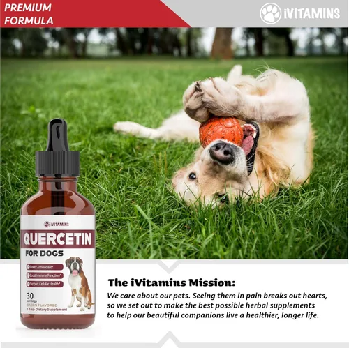 Miniatura 5 de Quercetina para perros – Quercetina para alergias de perros – Ayuda a apoyar la salud inmunológica, alivio de alergias, salud cardíaca y mucho más