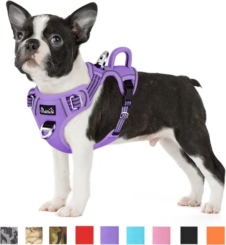 Miniatura 32 de SlowTon Arnés para perro sin tirones, arnés resistente sin estrangulamiento para mascotas, con 2 clips para la correa y mango vertical de fácil