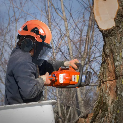 Miniatura 5 de TOOLIOM Chainsaw Helmet with Face Shield and Ear Muffs, Forestry Safety Helmet, ANSI Z89.1 Certified Arborist Helmet, Chainsaw Safety Equipment