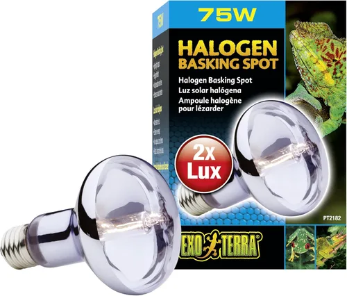 Miniatura 5 de Exo Terra Sun Glo - Lámpara halógena de luz para reptiles de 50 W, luz diurna de amplio espectro, mejora la coloración, promueve la salud, PT2181