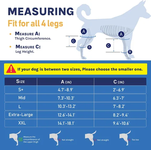 Miniatura 2 de Rodillera para perro para desgarro del ligamento cruzado anterior - Soporte de pierna de perro para lesiones de ligamentos y alivio del dolor