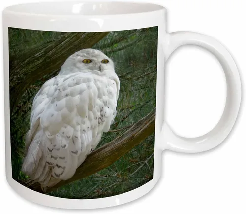 Miniatura 11 de 3dRose mug_154800_4 - Taza con diseño de búho blanco nieve posado en una rama contra un fondo verde, 11 onzas, color negro
