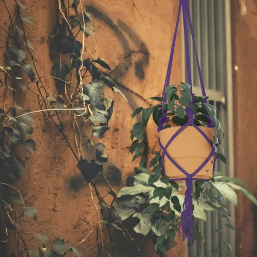 Miniatura 9 de Cuerda de macramé de algodón de 4 mm x 547 yardas, ZUEXT cuerdas trenzadas naturales hechas a mano de color violeta oscuro púrpura de 4 hebras