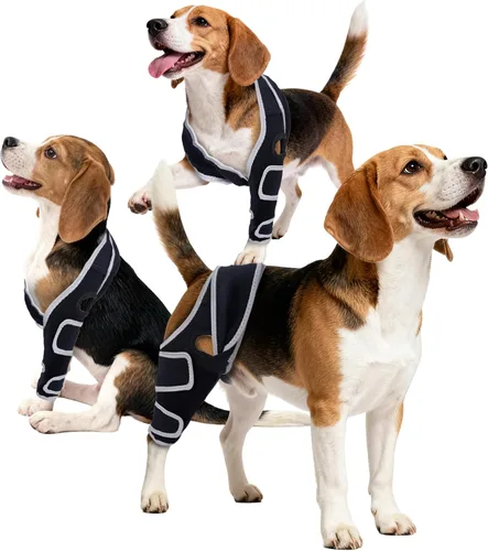 Aeegee Rodillera ajustable para perros para desgarros de ligamento cruzado anterior y luxación rotuliana, proporciona un apoyo estable, alivio del