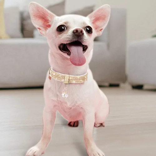 Miniatura 5 de Collar para gato, collar de perro, [diamantes de imitación brillantes] de cuero PU premium con colgante, collares ajustables para gatos y perros