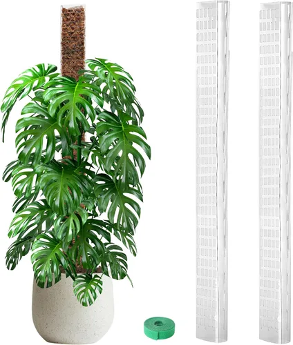 EOX 2 Piezas Postes de Musgo de Plástico de 48 Pulgadas para Monstera, Postes Grandes en Forma de D para Plantas Trepadoras que Funcionan con Musgo