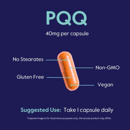 Miniatura 5 de BESTVITE PQQ 40mg (Pirroloquinolina Quinona) (60 cápsulas vegetarianas) - Sin estearatos - Vegano - Sin OMG - Sin gluten