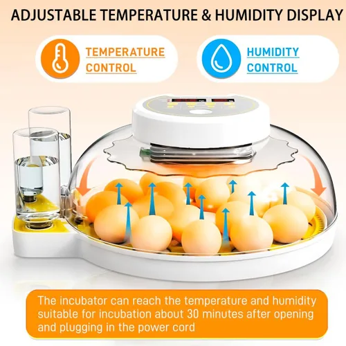 Miniatura 5 de Incubadora 18/60 para incubar huevos, incubadoras de huevos con pantalla de humedad, vela de huevos, girador automático de huevos, incubadora