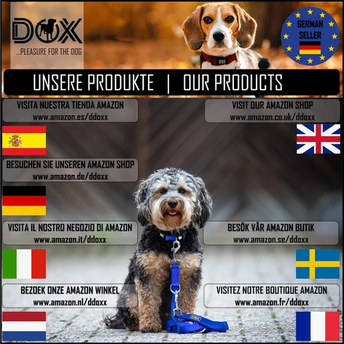 Miniatura 6 de DDOXX Airmesh - Collar para perro, collares fuertes y ajustables para perros, XS (naranja)
