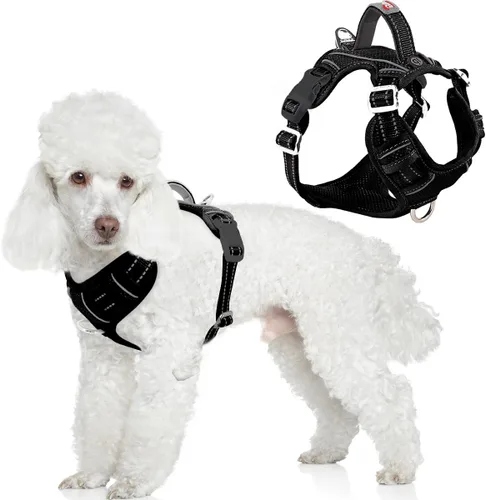 Miniatura 23 de BARKBAY Arnés para perro sin tirones con bolsillo para etiqueta de identificación, resistente, reflectante, fácil control para perros grandes