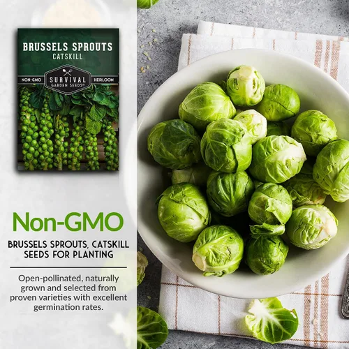 Miniatura 3 de Survival Garden Seeds - Semillas de coles de Bruselas Catskill para plantar - Paquete con instrucciones para plantar y cultivar sabrosas verduras