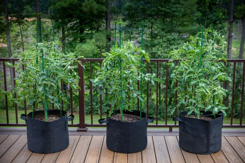 Miniatura 8 de Gardzen - Paquete de 10 bolsas de cultivo de 7 galones, macetas de tela de aireación engrosadas de 300 g con asas, macetas de tela resistentes