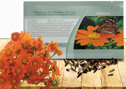 Outsidepride Goldfinger - Semillas de girasol mexicano – 500 piezas anuales, fáciles de cultivar, semillas de flor naranja Tithonia Speciosa con