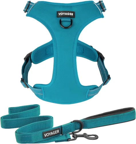 Arnés para Perro Voyager con Doble Enganche de Correa, Control Sin Tirones, Ajustable, Suave pero Resistente, Arnés para Mascotas para Perros Juego
