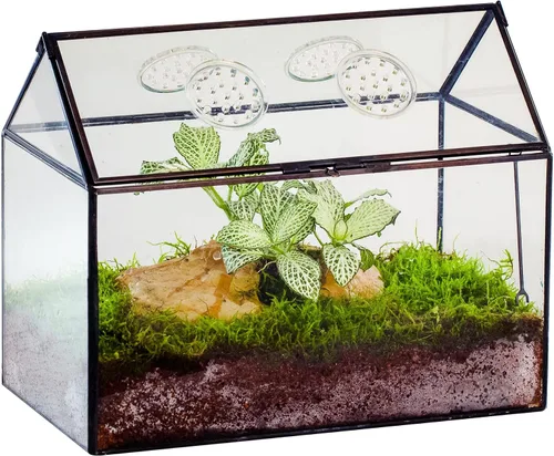 Miniatura 10 de NCYP Terrario de cristal con forma de casa con tapa acrílica, 10.2 x 5.9 x 8.2 pulgadas, caja de terrario geométrica grande de mesa para caracoles
