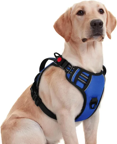 Miniatura 27 de rabbitgoo Arnés para perro de tamaño pequeño, arnés para mascotas sin tirones con mango acolchado suave, chaleco reflectante ajustable con 3