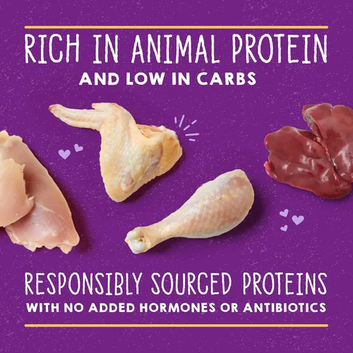 Miniatura 5 de Stella & Chewy's Carnivore Cravings Purrfect Paté - Alimento húmedo prémium sin granos para gatos, receta de pollo e hígado, alto en proteínas