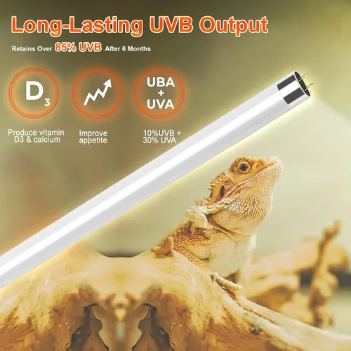Miniatura 3 de Kit combinado de lámpara de reptil UVB T5 de 24 W - Tubo fluorescente UVB 10.0 para dragones barbudos, lagartos y tortugas - Luz de reptil UVA UVB