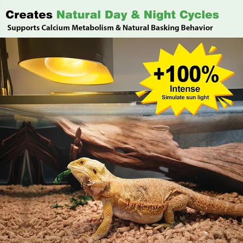 Miniatura 3 de Paquete de 2 bombillas de calor de reptiles de 100 W, bombilla de espectro completo para reptiles UVA/UVB y luz de punto de disfrute, luz UVB