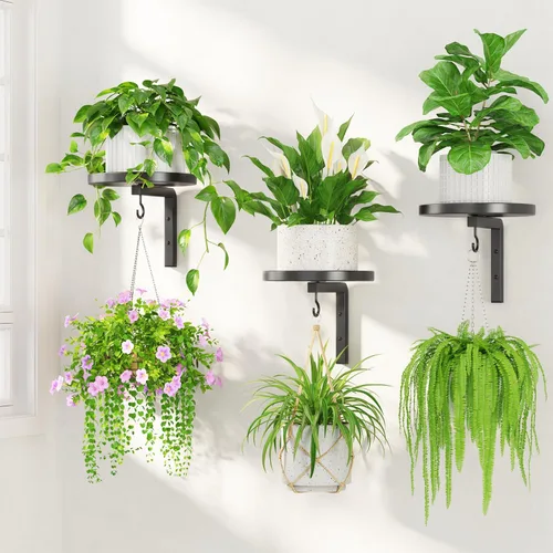 Miniatura 14 de LASZOLA 2 piezas de estantes de pared para plantas con ganchos para macetas de interior, soportes flotantes de ventana de metal resistente para Negro