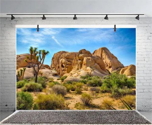 Miniatura 2 de Telón de fondo de poliéster 5x3ft Joshua Tree National Park Telón de fondo árido árido árido piedra arenisca roca clima montaña y desierto paisaje