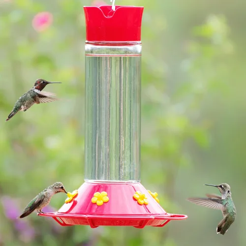 Miniatura 7 de Perky-Pet 209B-1SR - Comederos de vidrio para colibríes para colgar en exteriores, capacidad de néctar de 30 onzas líquidas, comedero para pájaros